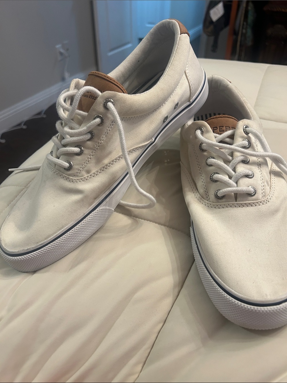 Sperry Men’s Low-Top Canvas Sneakers in Cream with Brown Accents